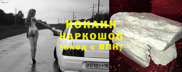 индика Медвежьегорск