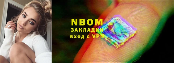 индика Медвежьегорск