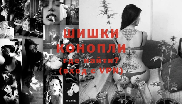 индика Медвежьегорск