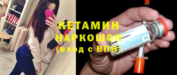индика Медвежьегорск