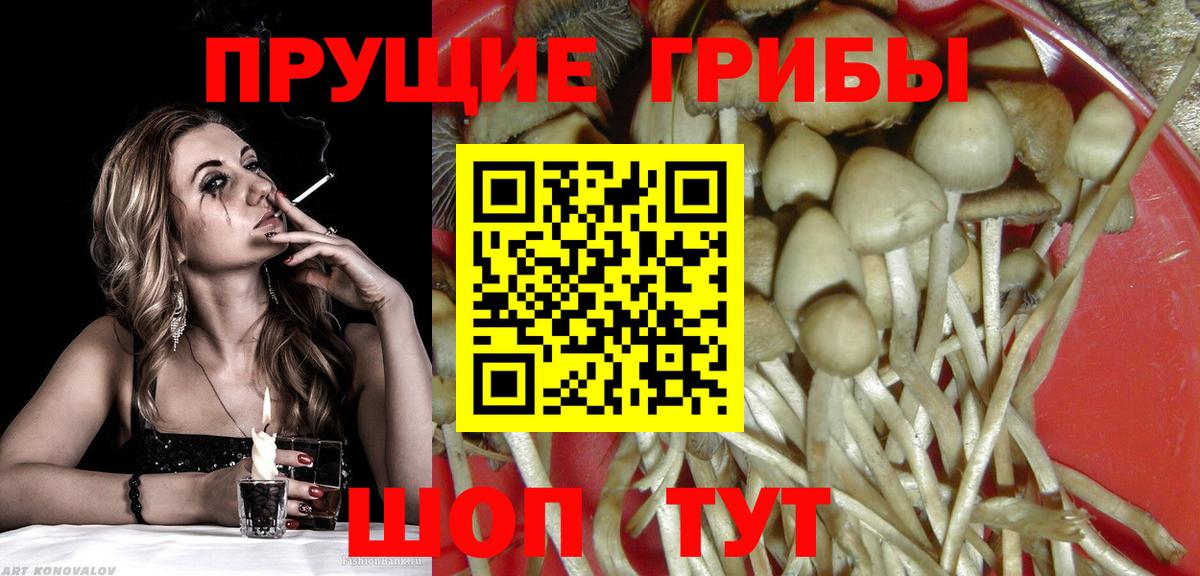 Галлюциногенные грибы Magic Shrooms Химки