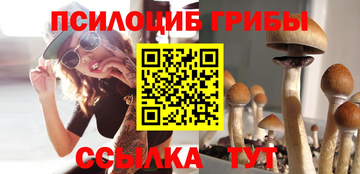 Псилоцибиновые грибы Magic Shrooms  Вход с VPN  Галлюциногенные грибы Magic Shrooms  Химки 